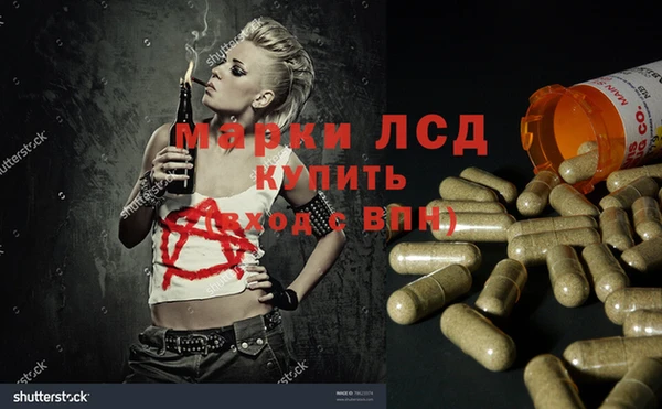 крисы Абдулино