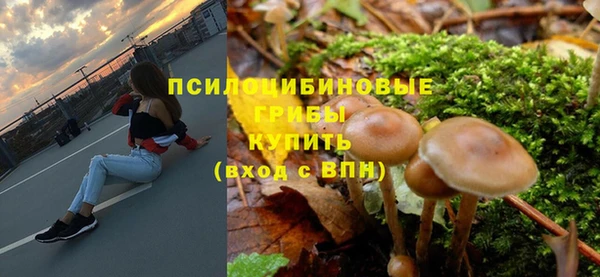 МДПВ Абаза