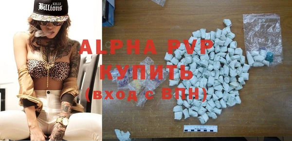 стаф Абинск