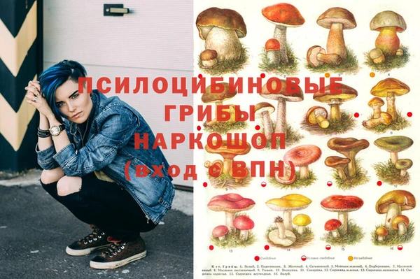 стаф Абинск
