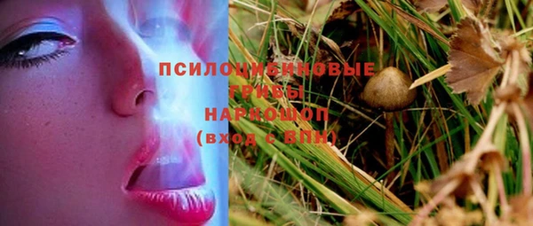 МДПВ Абаза